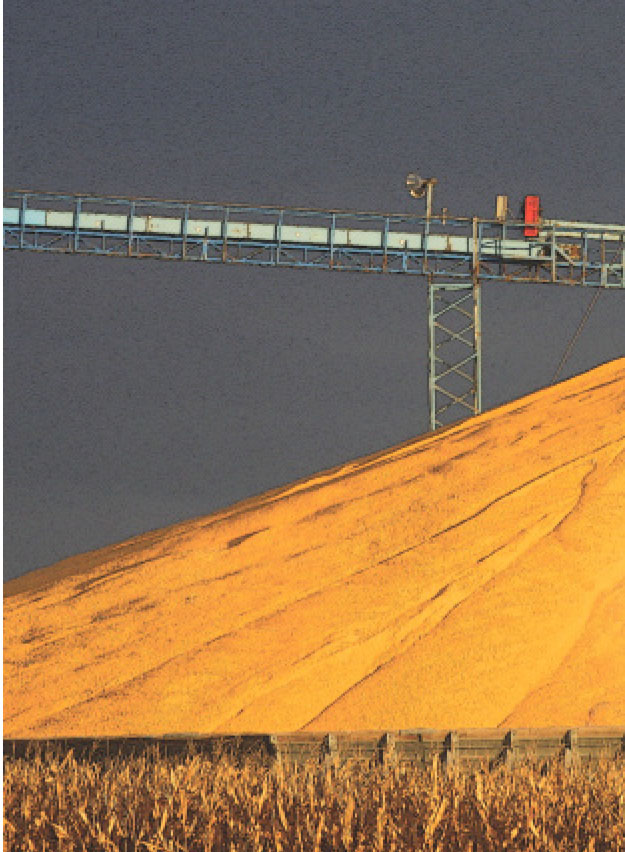 Guide to the Canadian Electrical Code